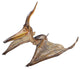 Pteranodon Ingens Statue