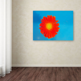 'Orange and Blue' Canvas Art by Kurt Shaffer