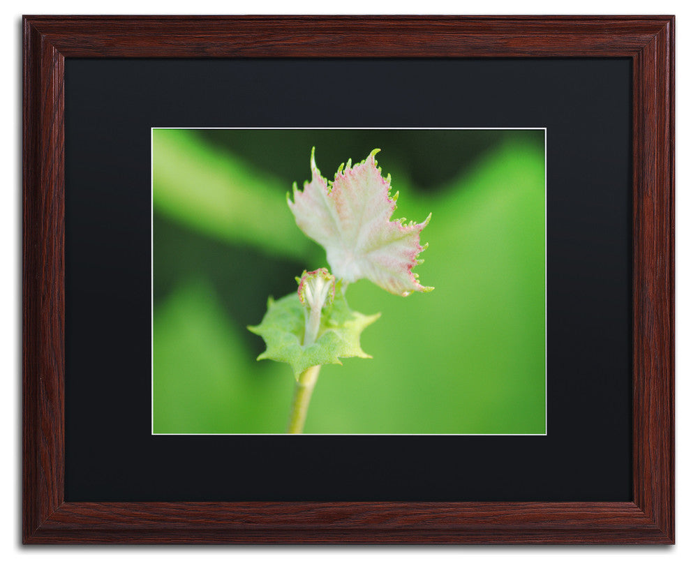 'Beginning' Matted Framed Canvas Art by Monica Mize