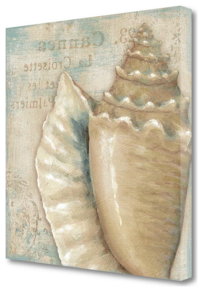 Rustic French Seashell 3 Giclee Wrap Canvas Wall Art