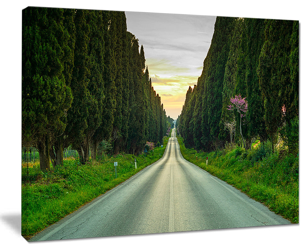 "Straight Road Through Cypress Trees" Landscape Wall Art, 40"x30"