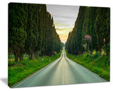"Straight Road Through Cypress Trees" Landscape Wall Art, 40"x30"