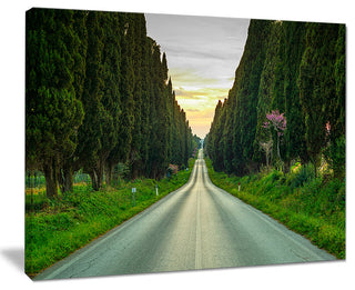 "Straight Road Through Cypress Trees" Landscape Wall Art, 40"x30"