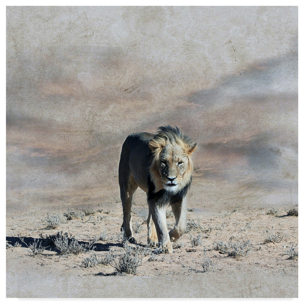 "The King 2A" by Ata Alishahi, Canvas Art, 18"x18"