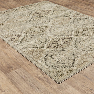 Fleming Distressed Floral Panel Ivory and Grey Area Rug, 6'7"x9'6"