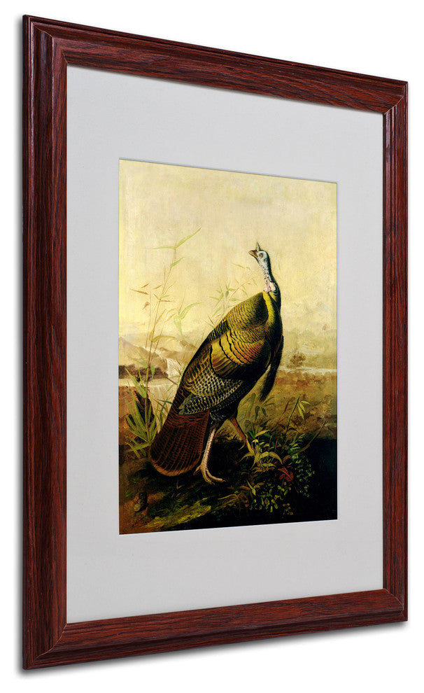 'American Wild Turkey' Matted Framed Canvas Art by John James Audubon
