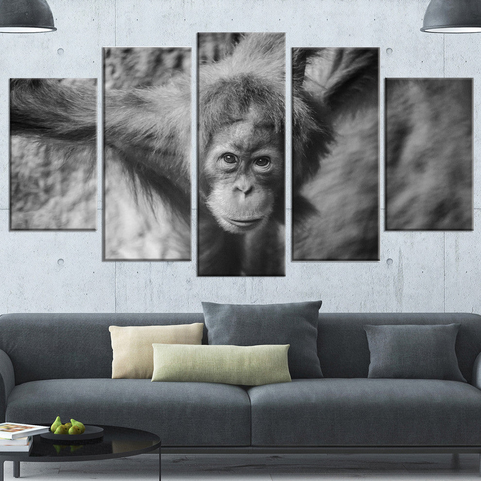 Young Orangutan Black, Abstract Canvas Art Print, 60"x32", 5 Panels