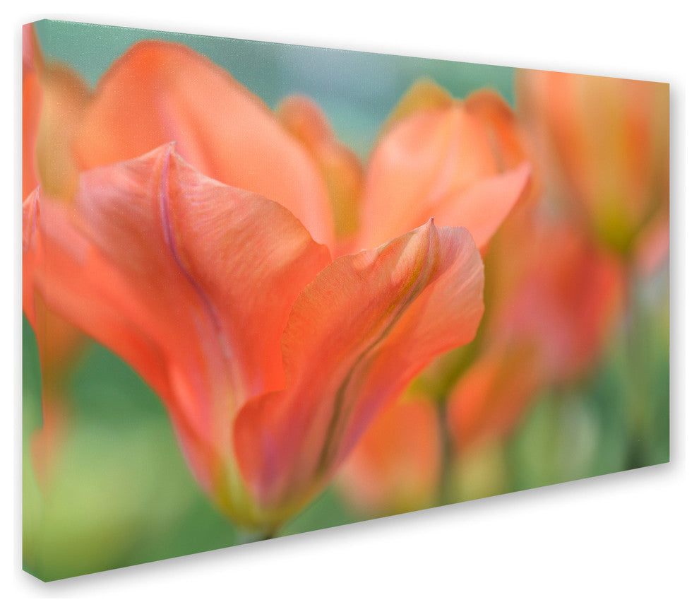 Cora Niele ''Orange Wings Tulips'' Canvas Art