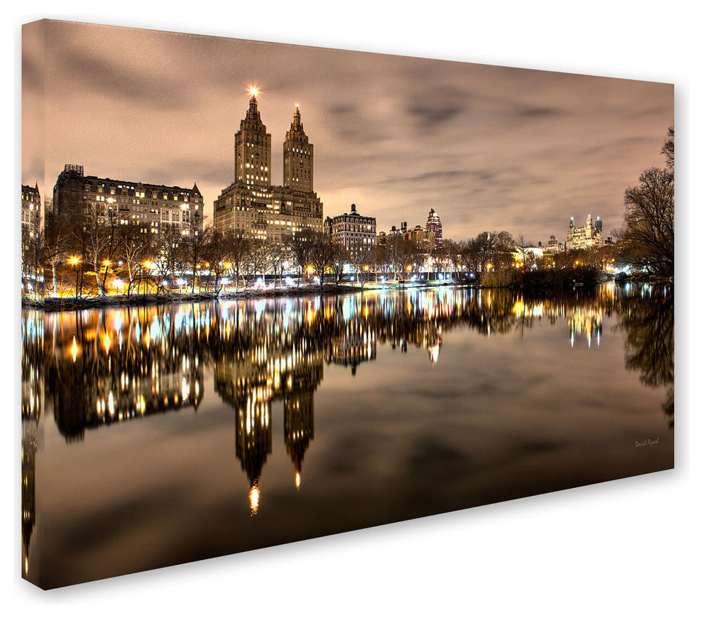 'Central Park West I' Canvas Art by David Ayash
