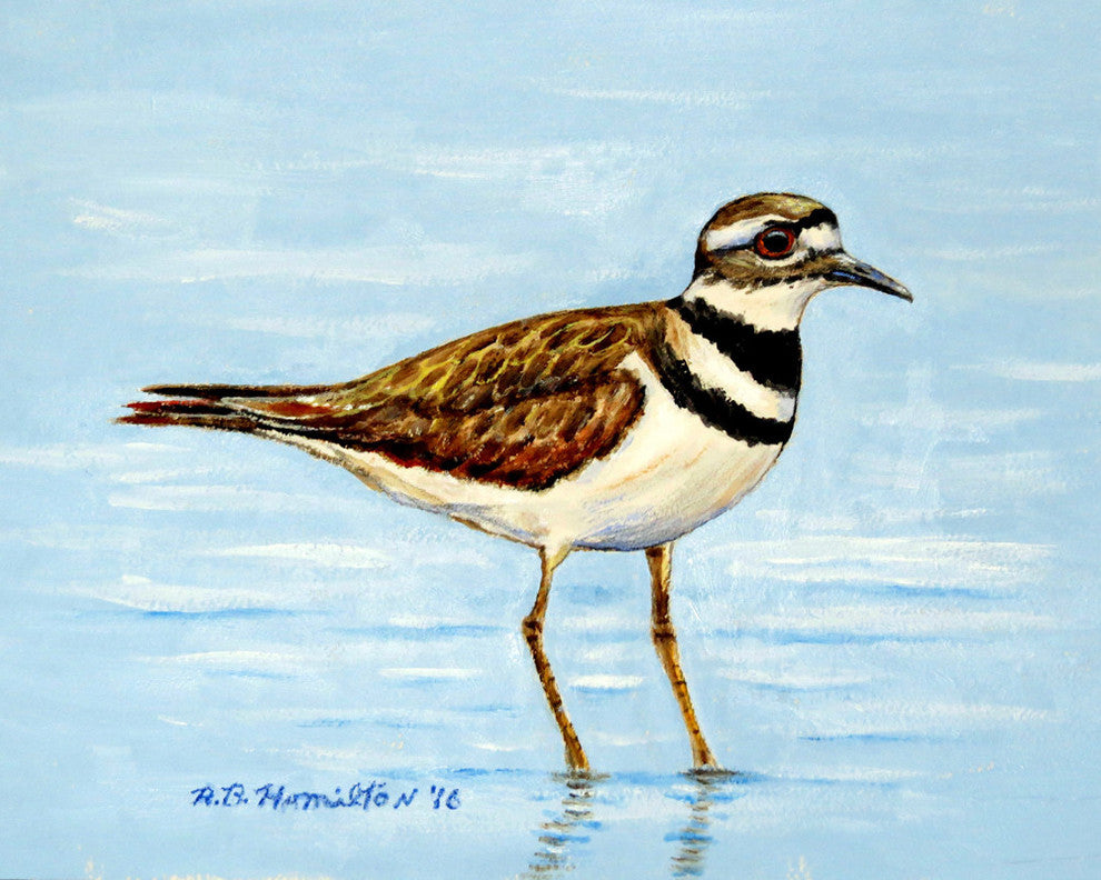 Betsy Drake Killdeer Outdoor Wall Hanging 24x30