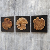Kolini Teak Wood Wall Decor, S/3"