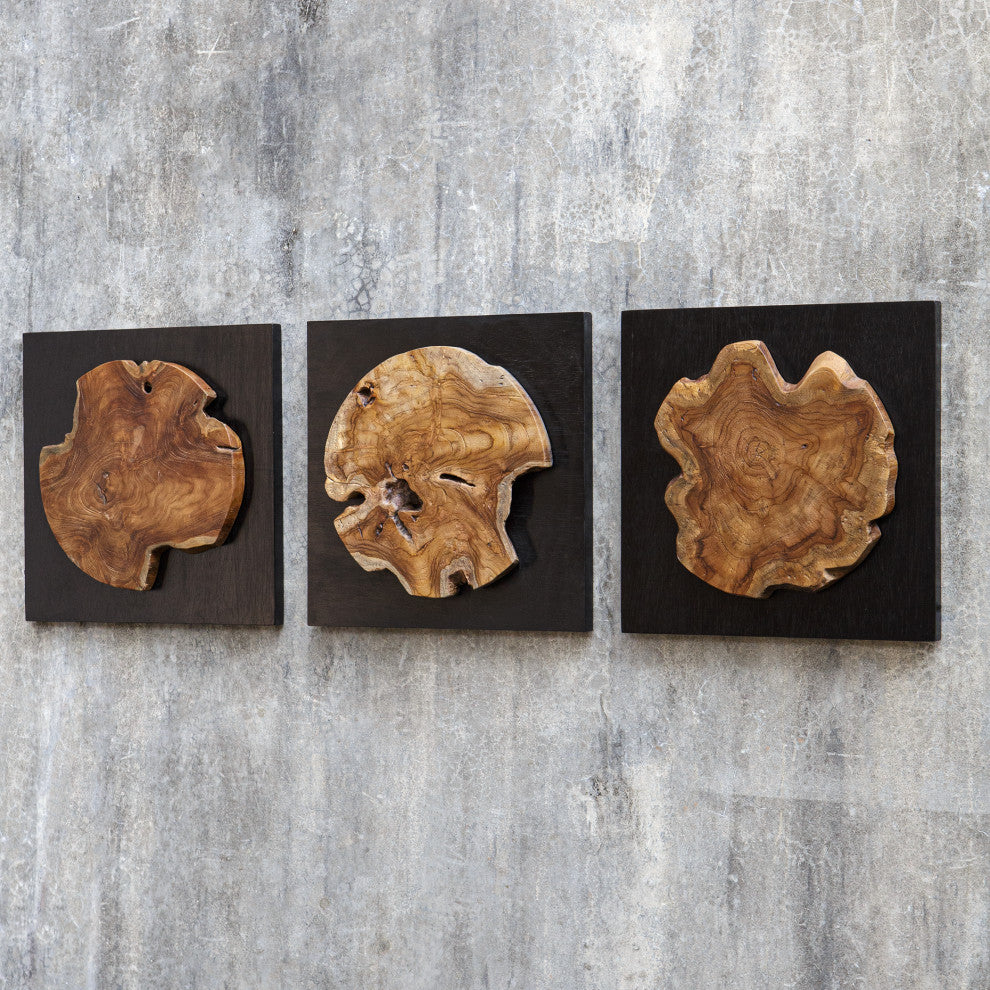 Kolini Teak Wood Wall Decor, S/3"