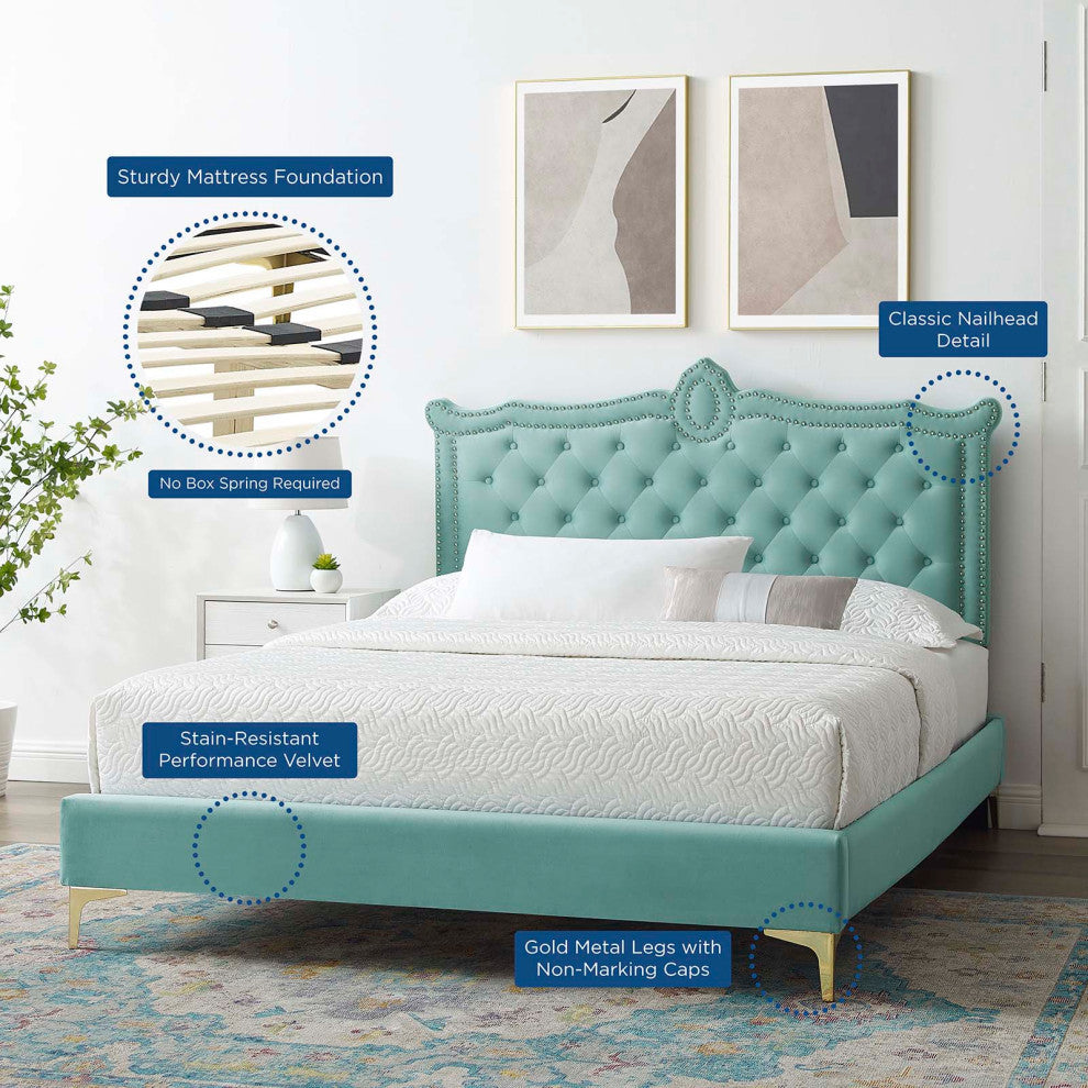 Platform Bed Frame, Nailhead, Queen Size, Blue, Velvet, Modern, Guest Suite