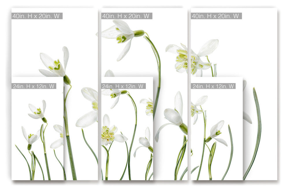 Ready2HangArt ''Spring Snowdrops'' 3-Piece Canvas Wall Decor Set, 36"x24"