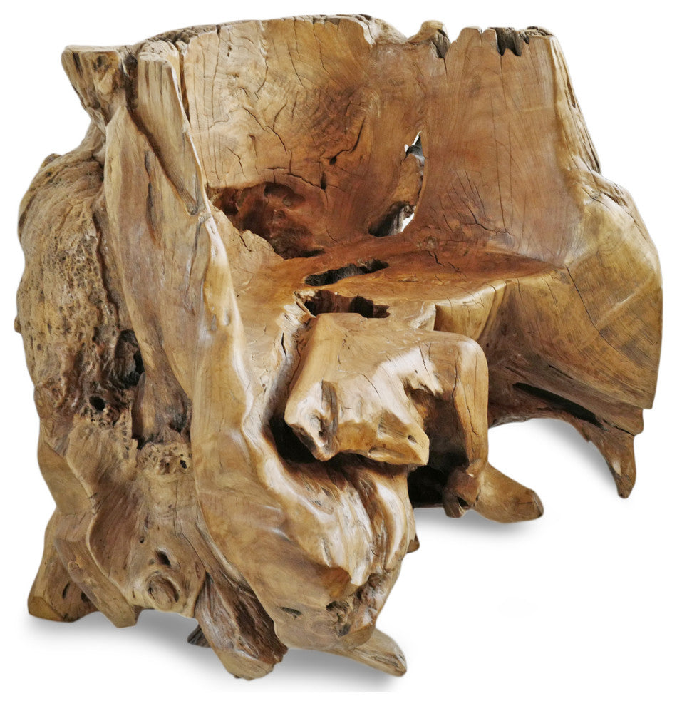 Free Form Burl Wood Root Chair