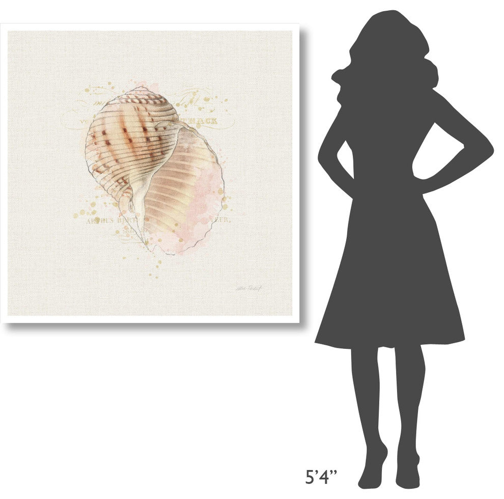 "Shell Collector V" Digital Paper Print by Katie Pertiet, 42"x42"