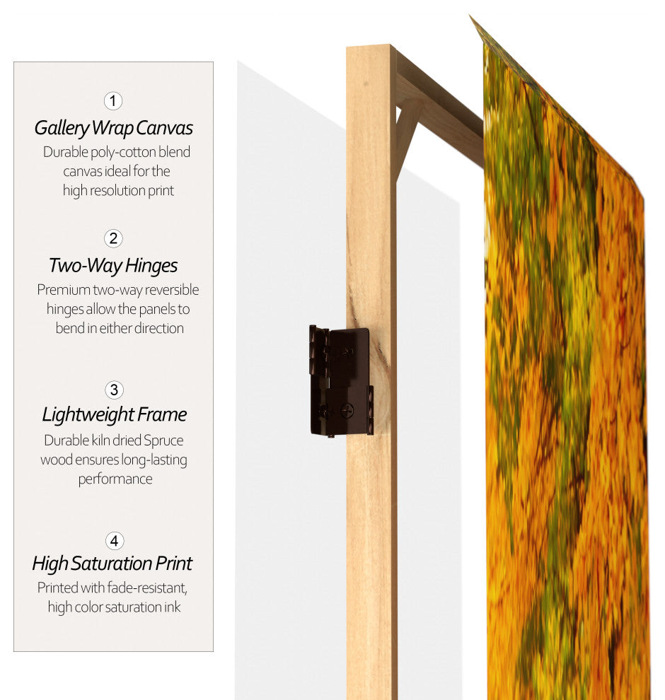 6' Tall Double Sided Autumn Trees Room Divider