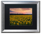 Blanchette Photography 'Sunflower Taps', Silver Frame, Black Matte, 20"x16"