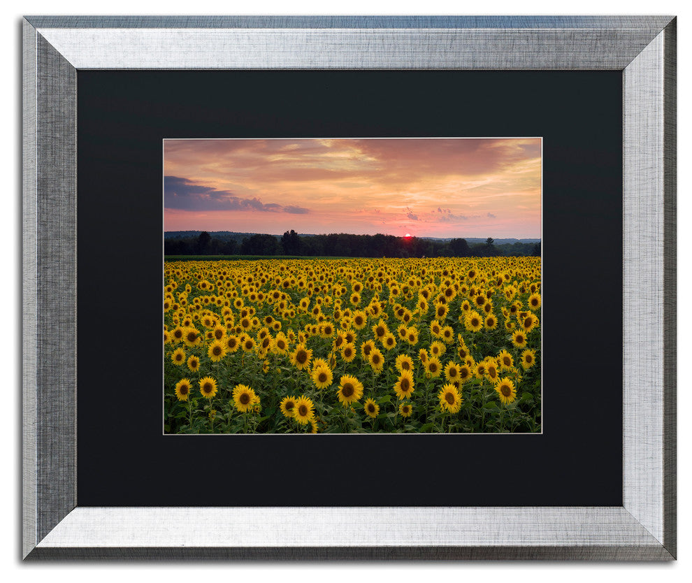 Blanchette Photography 'Sunflower Taps', Silver Frame, Black Matte, 20"x16"