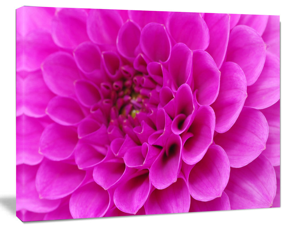 Purple Flower with Close Up Petals, Floral Canvas Art Print, 40"x30"