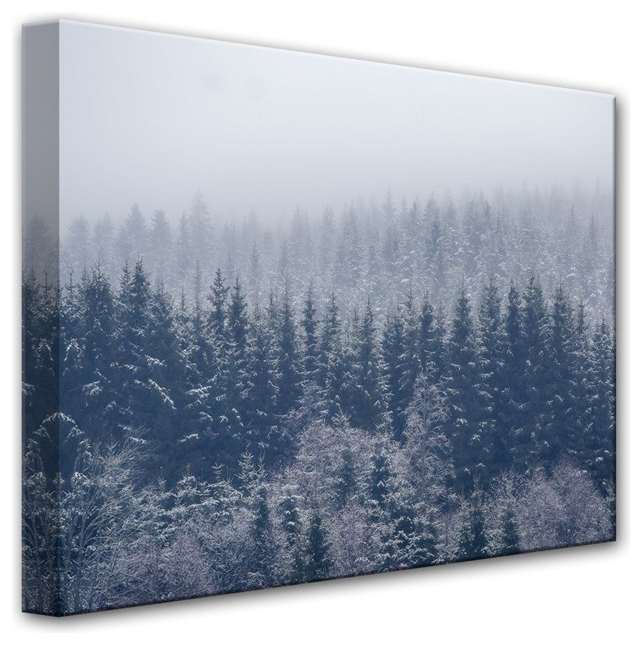 Frozen Trees'' Canvas Wall Decor