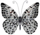Eangee Butterfly Wall Decor Black And White Large