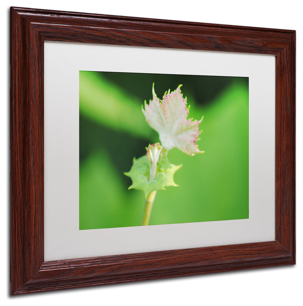 ''Beginning'' Matted Framed Canvas Art by Monica Mize