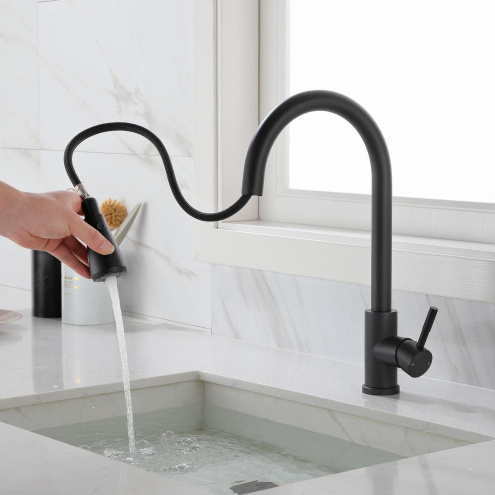 Wellfor Single-Handle Pull Down Sprayer Kitchen Sink Faucet, Matte Black