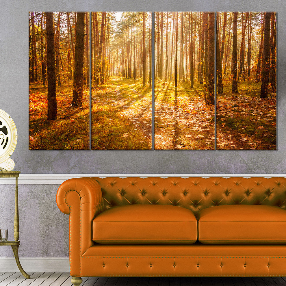Bright Sunlight in Yellow Fall Forest, Forest Canvas Art, 48"x28", 4 Panels