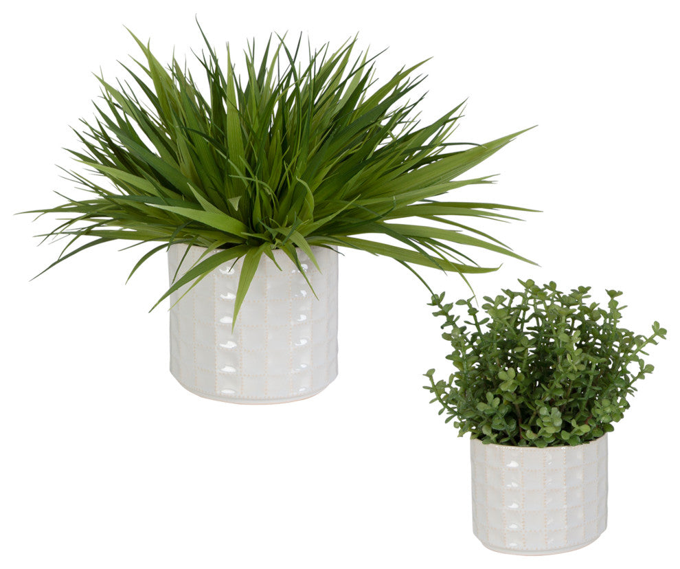 Shows entire product on white background with two planters; primary product image per title.