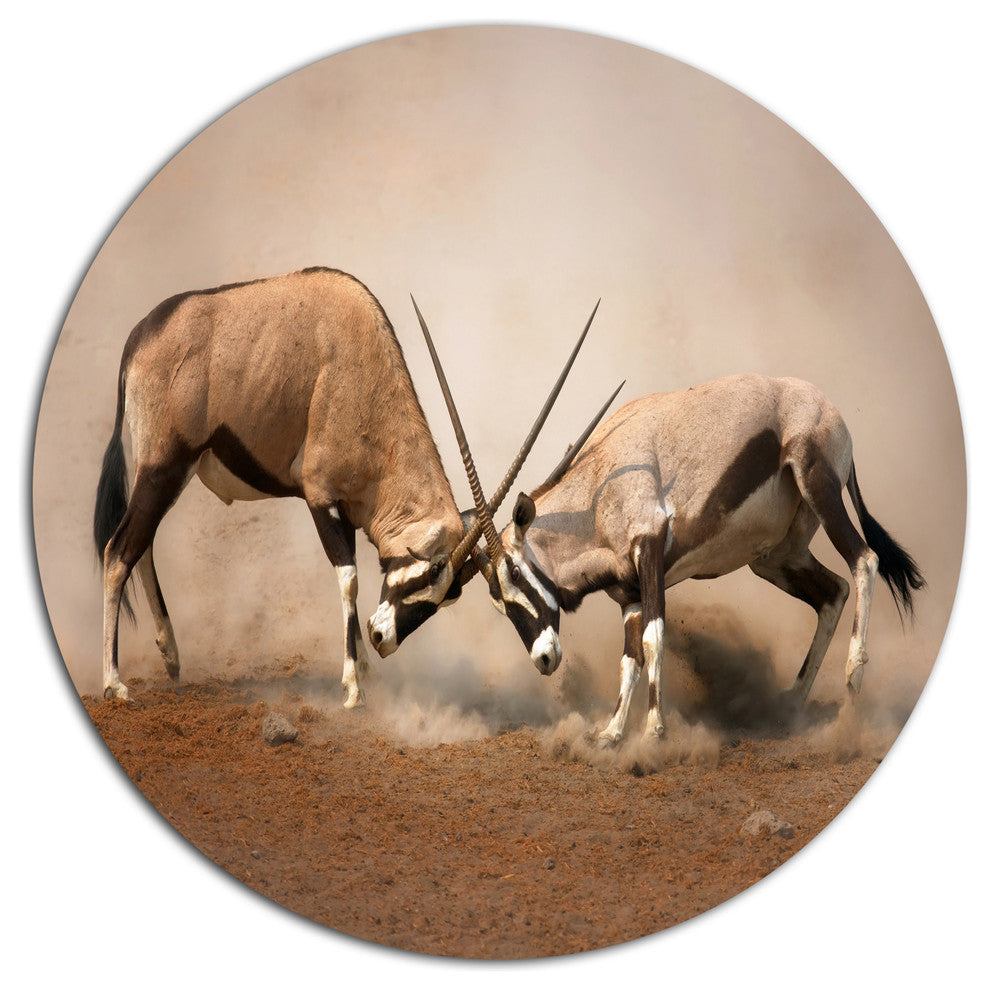 Gemsbok Antelopes Fighting, African Disc Metal Artwork, 23"