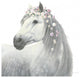 "Spirit Stallion II Square" Digital Paper Print by James Wiens, 38"x38"