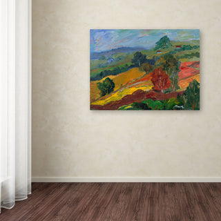 'Napa 2' Canvas Art by Manor Shadian