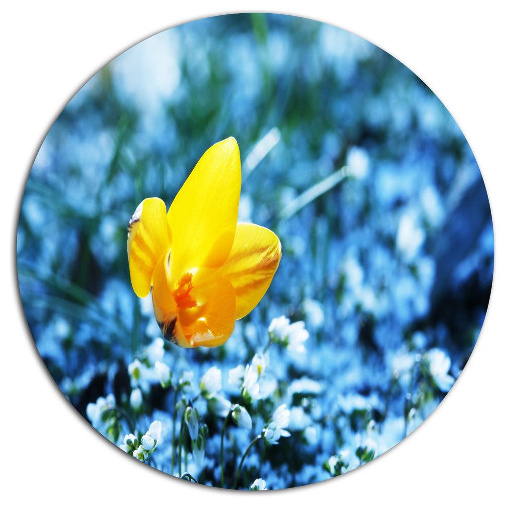 Solitary Yellow Flower On Blue, Modern Flower Round Metal Wall Art, 11"