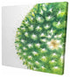 Watercolor Mini Cactus, Fine Art Gallery Wrapped Canvas, 24"x24"