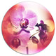 Beautiful Pink Orchid Flowers, Flower Round Metal Wall Art, 11"