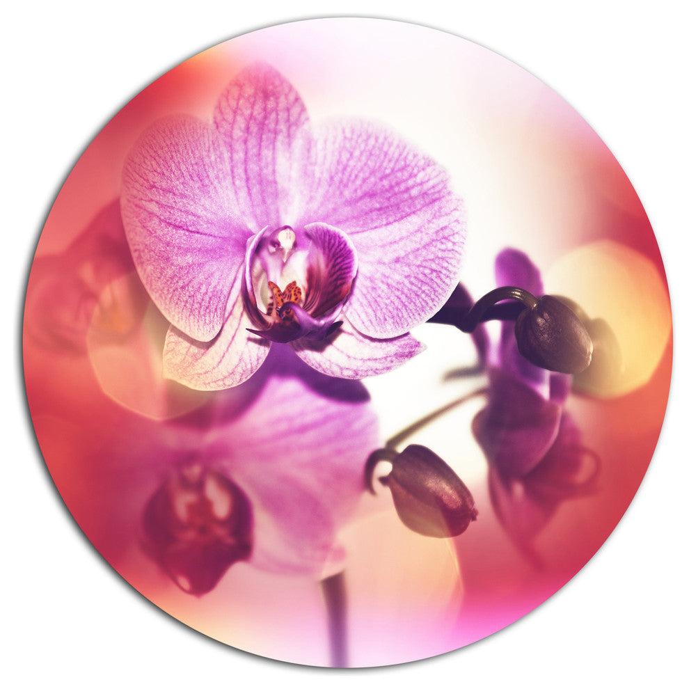 Beautiful Pink Orchid Flowers, Flower Round Metal Wall Art, 11"