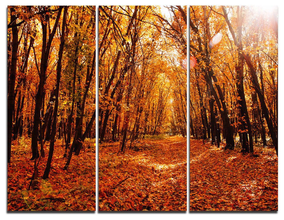"Yellow Falling Leaves in Forest" Photo Wall Art, 3 Panels, 36"x28"