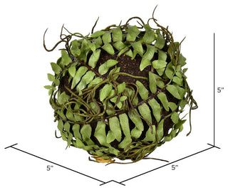 Vickerman 5"  Green Boston Fern Ball 2/Pk