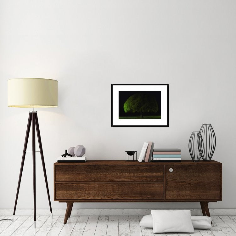 "Mushroom Tree" Framed Digital Print by Stelios Kirtselis, 30x22"
