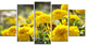 Bright Yellow Marigold Flowers, Floral Canvas Art Print, 60"x32", 5 Panels