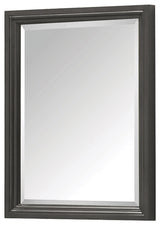 Avanity Thompson 24" Mirror