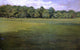 William Merritt Chase Prospect Park Wall Decal