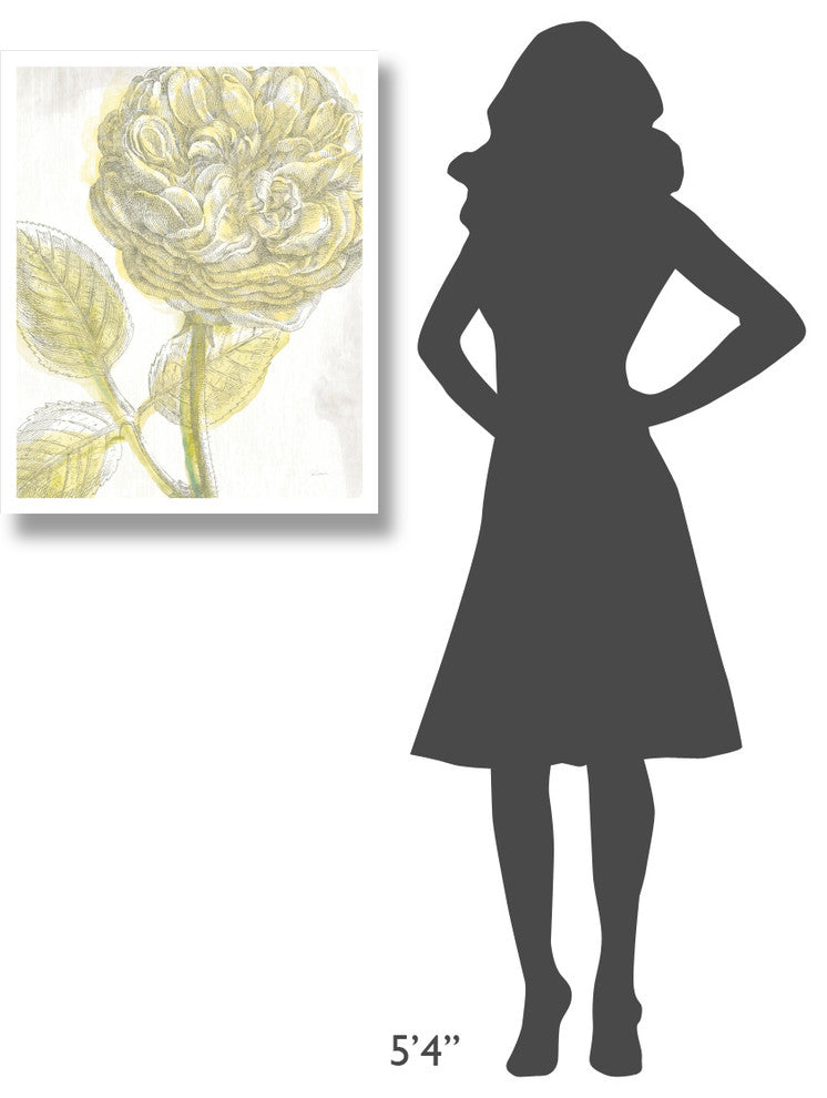 "Belle Fleur Yellow III" Digital Paper Print by Sue Schlabach, 24"x30"