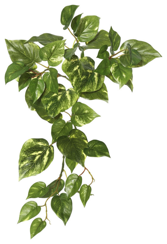 Vickerman FB170601-3 18" Artificial Green Pothos Hanging Bush, Set of 3