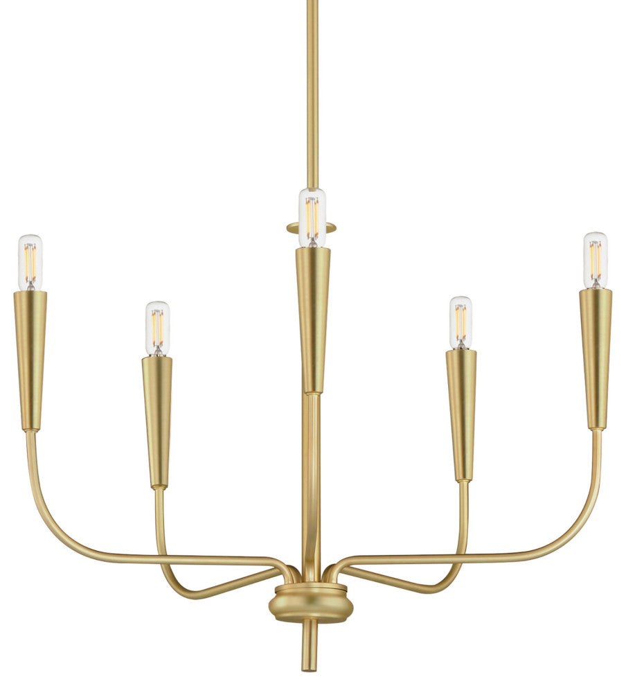 Maxim 24815 Vela 5 Light 24"W Abstract Chandelier - Black