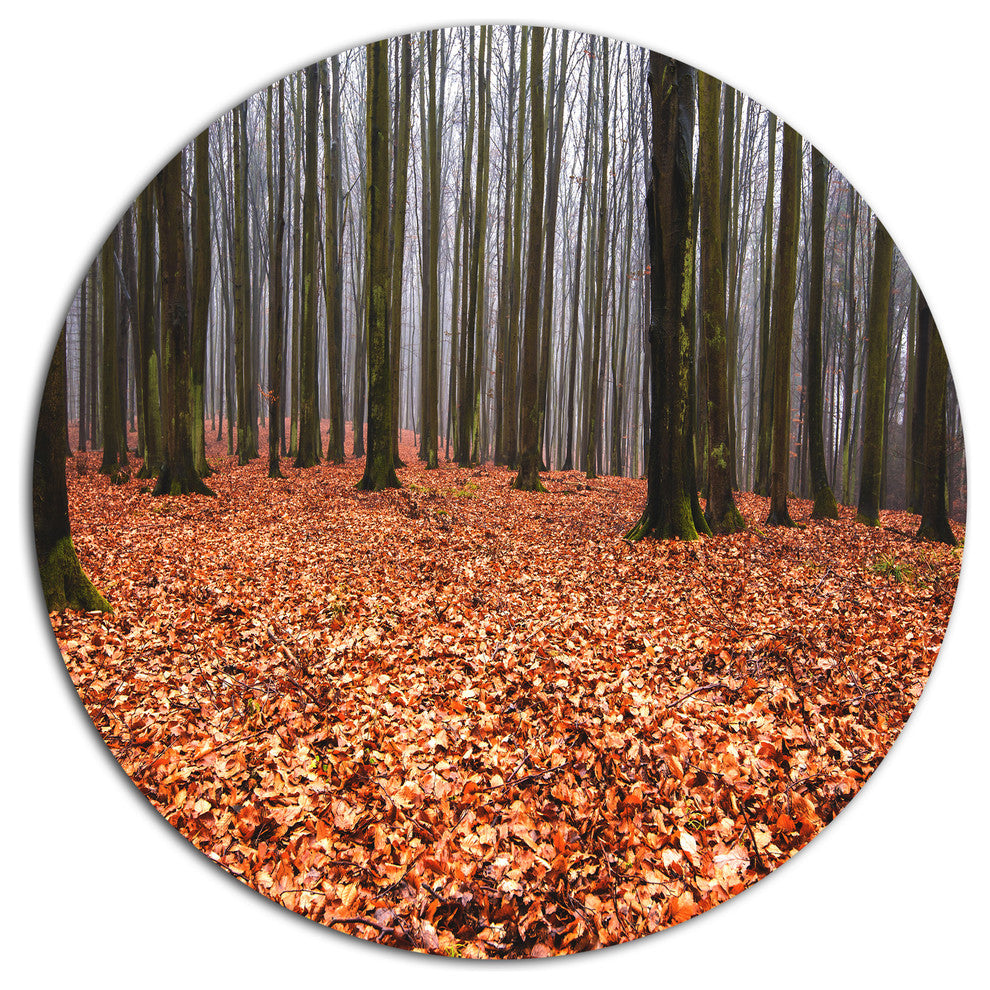 Enchanted And Magical Fall Forest, Forest Disc Metal Artwork, 23"