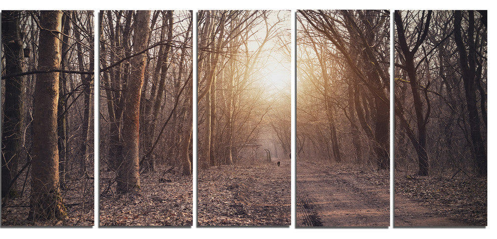 Forest Pathway View at Sunset, Modern Forest Canvas Art, 60"x28", 5 Panels
