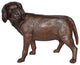 Beagle Dog Standing Made of Bronze, Statue - Size: 27"L x 14"W x 21"H.