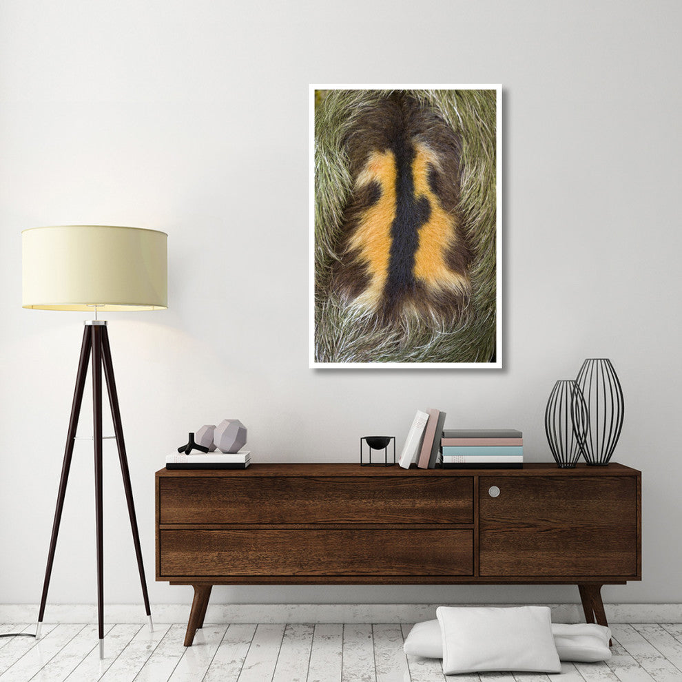 "Brown-throated male Sloth back, Aviarios Sloth Sanctuary" Paper Art, 34"x50"